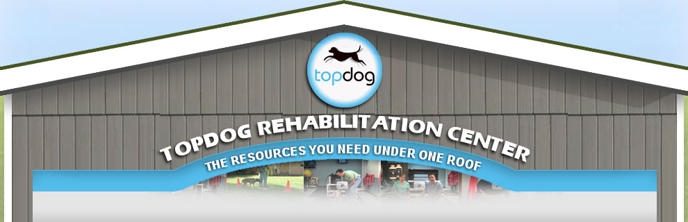 Faith Based Rehabilitation 
      Programs